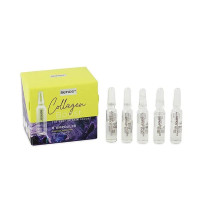 Sence Collagen Boost nahka siluvad seerumi ampullid kollageeniga 5x2ml | Multum