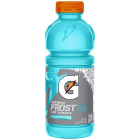 GATORADE liustikukülm, PET 591ml | Multum